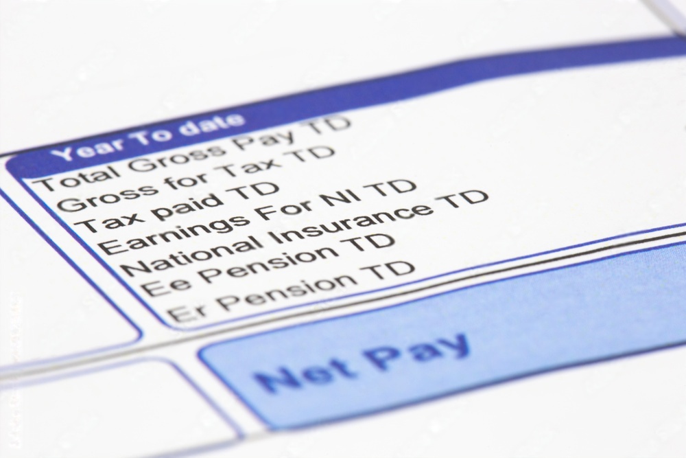 why is it important for a person to examine their pay stub information